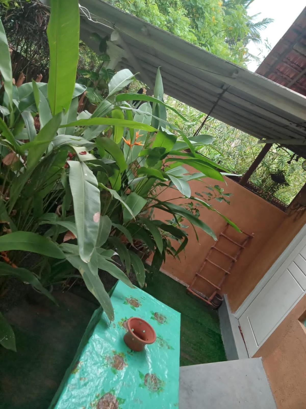 Apartamento Hiriketiya Mahi Surf Dikwella Sur Exterior foto