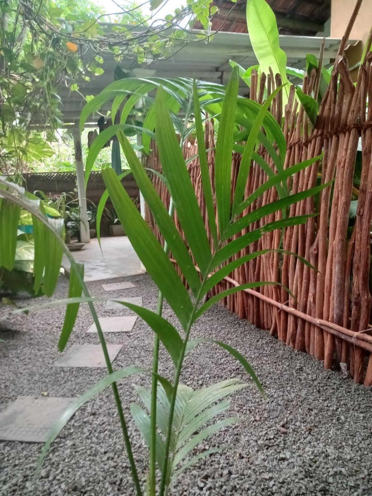 Apartamento Hiriketiya Mahi Surf Dikwella Sur Exterior foto